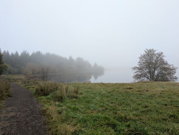 Fannyside Loch in mist
